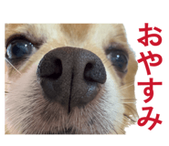 885668684