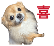 885668693