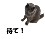885669369