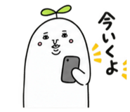 885674065