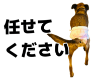885679650