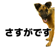 885679652