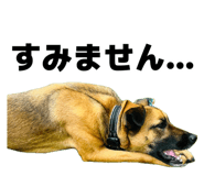 885679655