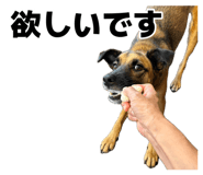 885679670