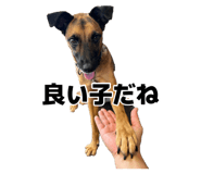 885679672