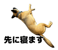 885679674