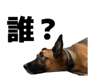 885679677