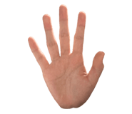 885683002