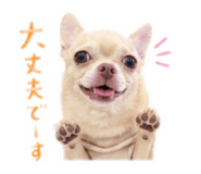 885683302
