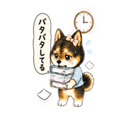 885683550