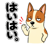 885684012