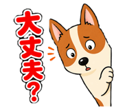 885684021