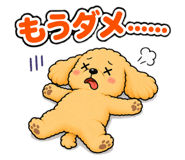 885684033