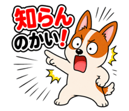 885684042