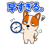 885684046
