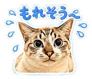 885684369