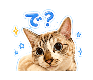 885684371