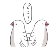 885687996