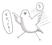 885688023