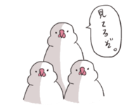 885688026