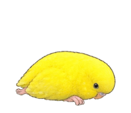 885688364