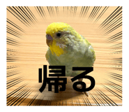 885688591