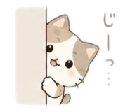885690154