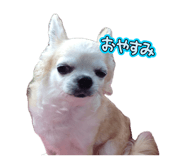 885690589