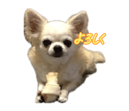 885690591
