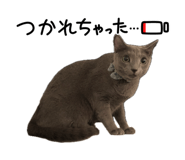 885690657