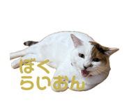 885690663