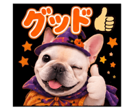 885691749