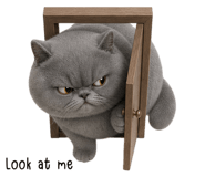 885691987