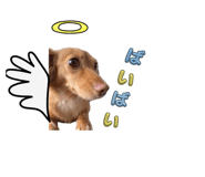 885691996