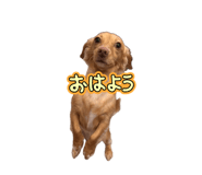885692000