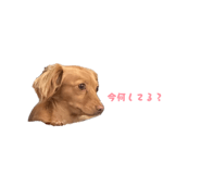 885692001