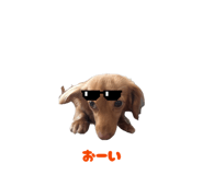 885692003
