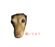 885692004
