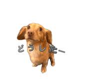 885692006