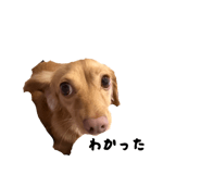 885692007