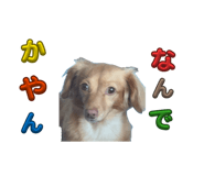 885692008