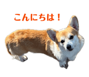885692236