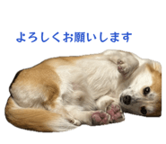 885692237