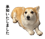 885692240
