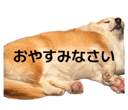 885692243
