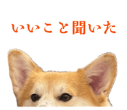885692244