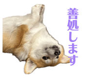 885692246
