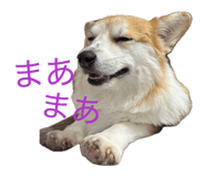 885692247