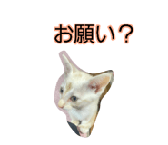 885693959
