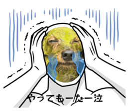 885693993